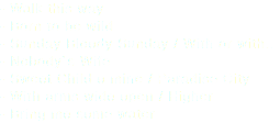 - Walk this way - Born to be wild - Sunday Bloody Sunday / With or with.. - Nobody`s Wife - Sweet Child o mine / Paradise City - With arms wide open / Higher - Bring me some water